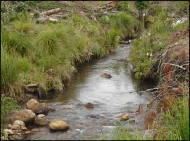 Canal Principal sobre el curso de la quebrada, en la zona de potamon