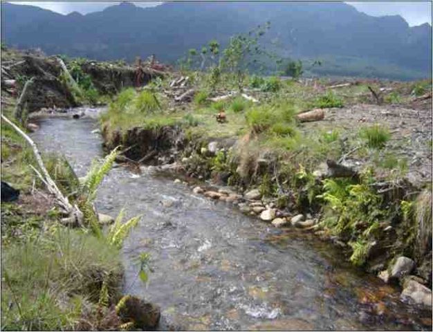 Regadal monitoreado en la zona de potamon de la Quebrada Chapinero. Se puede observar la tala del bosque litoral y su consiguiente perdida como protección vegetativa frente al control de la incidencia solar, la escaces de recursos alóctonos y la formación