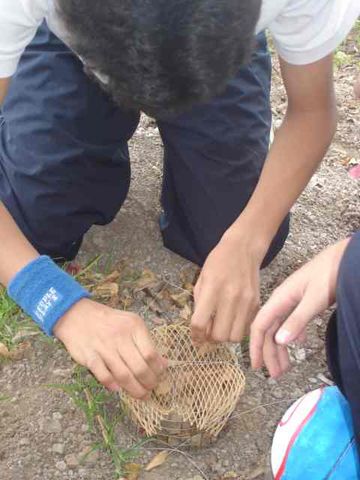 Estudiante rellenando una de las canastas con material vegetal para luego sumergirla