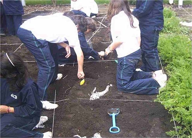 Proceso de Excavación por Cuadrantes
