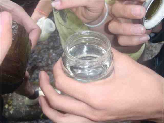 Método de preservación de los especímenes recolectados durante el monitoreo. Se preservan en vials con una solución de Transeau o con Alcohol etílico al 30%