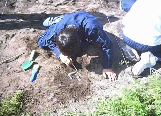 Proceso de Excavación sobre un resto Fósil