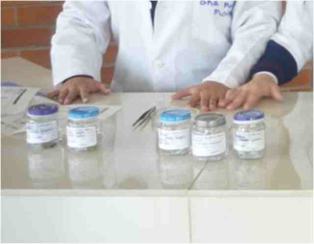Registro y preservación final por grupos taxonómicos para su posterior uso didáctico y como banco biológico para posteriores investigaciones.